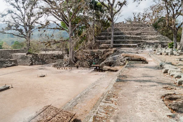 Doğu Mahkeme Arkeolojik Sitesi Copan Honduras — Stok fotoğraf