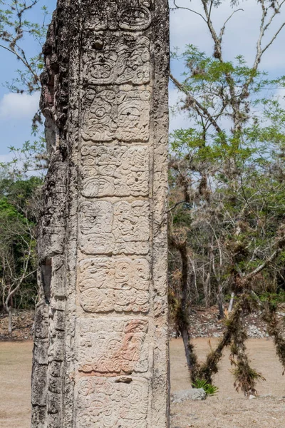 Stéla Mayské Hieroglyfy Archeologické Lokalitě Copán Honduras — Stock fotografie