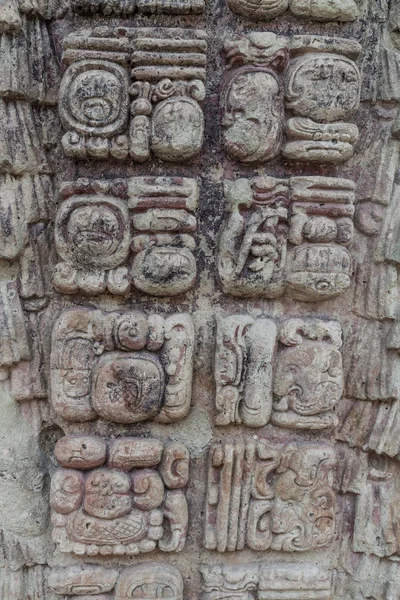 Arkeolojik sitesi Copan, Honduras, Maya hiyeroglif detay