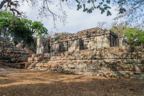 Arkeolojik sitesi Copan, Honduras Kalesi'nde