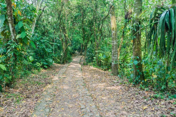 Eko-arkeolojik Park Los Naranjos, Honduras yürüyüş yolu