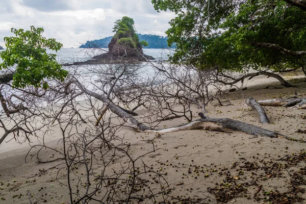 Playa Parque Nacional Manuel Antonio Costa Rica —  Fotos de Stock