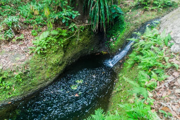 Kleiner Bach Nationalpark Imposible Salvador — Stockfoto