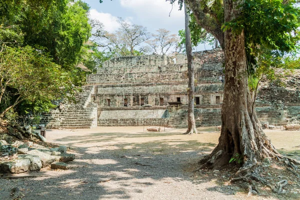 Ruins Archaeological Site Copan Honduras — Stock Photo, Image