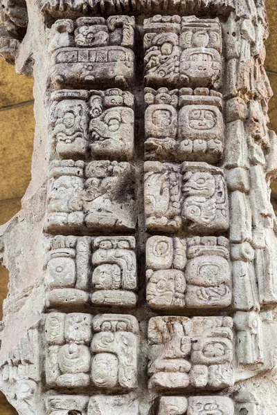 Detail Mayan Hieroglyphs Archaeological Site Copan Honduras — Stock Photo, Image