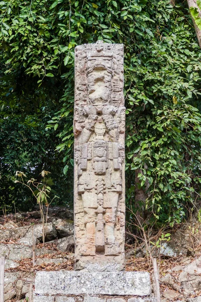 Stela Archeologické Lokalitě Copán Honduras — Stock fotografie