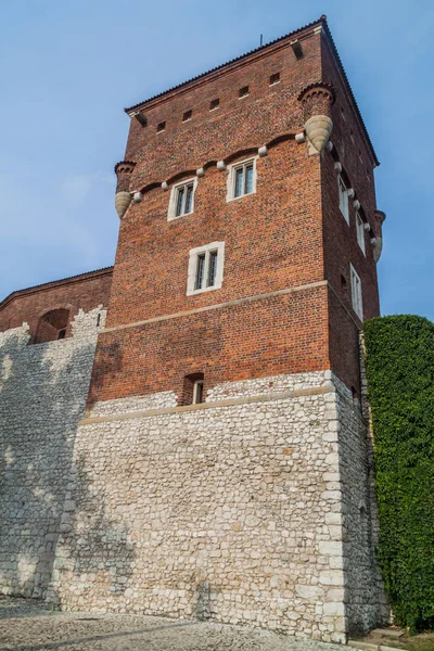  Hırsızlar Tower adlı Wawel Kalesi, Krakow, Polonya