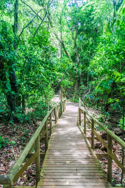 Boardwalk içinde Milli Parkı Manuel Antonio, Kosta Rika