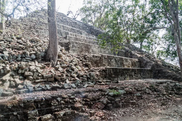 Arkeolojik sitesi Copan, Honduras Kalesi'nde
