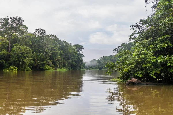 Río Selva Parque Nacional Tortuguero Costa Rica —  Fotos de Stock