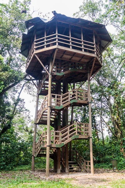 Gözetleme Kulesi Eko-arkeolojik Park Los Naranjos, Honduras