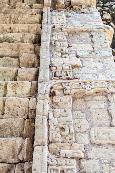 Wszystko Hieroglifów Schody Stanowisko Archeologiczne Copan Honduras — Zdjęcie stockowe