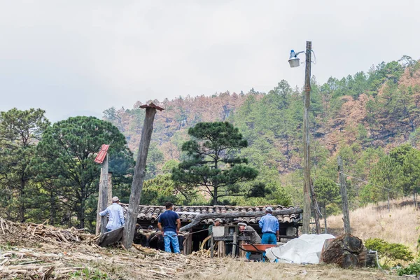 La Campa, Honduras - 14 Nisan 2016: Bir hayvan ile küçük kırsal yerleşim şeker kamışı basın Powered by.