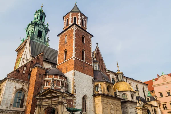 Katedrali, Wawel Kalesi, Krakow, Polonya