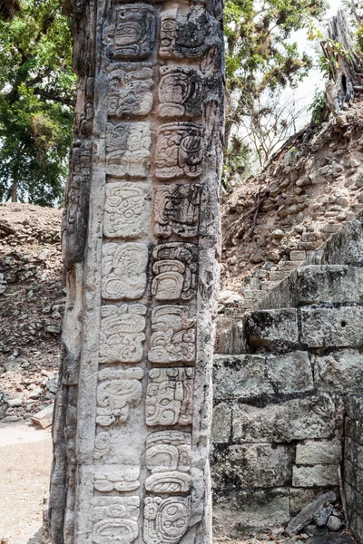 Stela, arkeolojik üzerinde Maya hiyeroglif sitesi Copan, Honduras