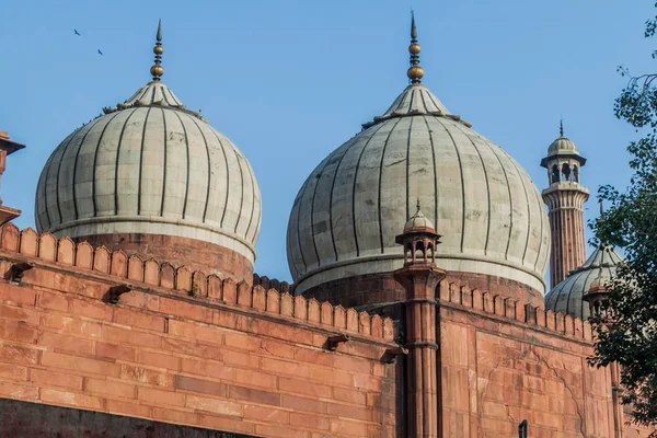 Kopuły Meczet Jama Masjid Delhi Indie Zdjęcie Stockowe