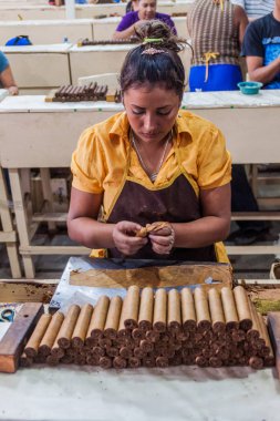 Esteli, Nikaragua - 21 Nisan 2016: işçi Tabacalera Santiago, puro puro fabrikası Esteli içinde inişli çıkışlı.