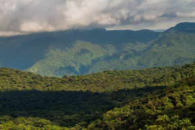 Rezerv Biyoloca 'yı kaplayan Bulut Ormanı Bosque Nuboso Monteverde, Kosta Rika.