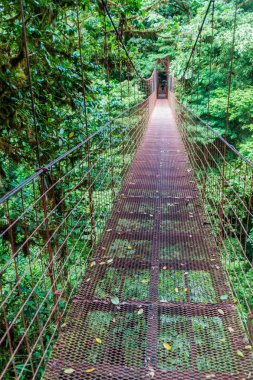 Asma köprü içinde bulut orman, Reserva Biologica Bosque Nuboso Monteverde, Kosta Rika