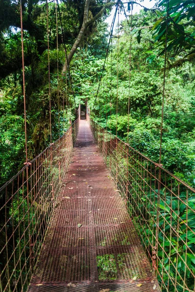 Pont Suspendu Dans Forêt Nuageuse Reserva Biologica Bosque Nuboso Monteverde — Photo