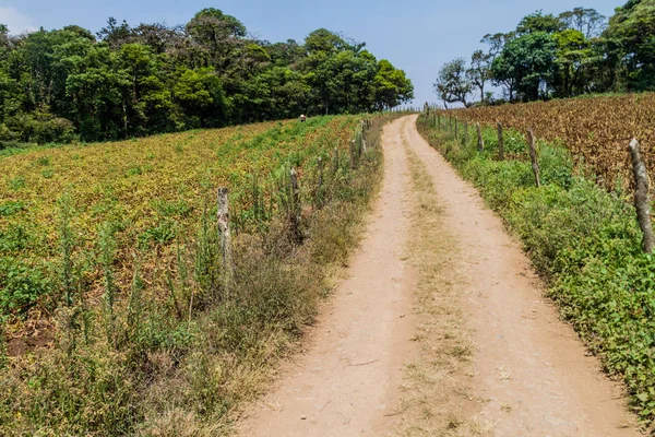 Rural road and pastures in Protected Area Miraflor, Nicaragua