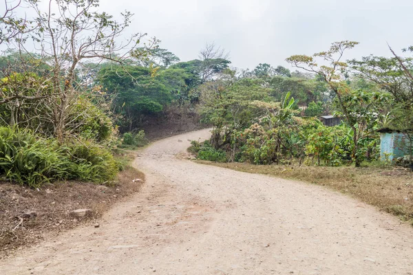 Rural Road Protected Area Miraflor Nicaragua — Stock Photo, Image