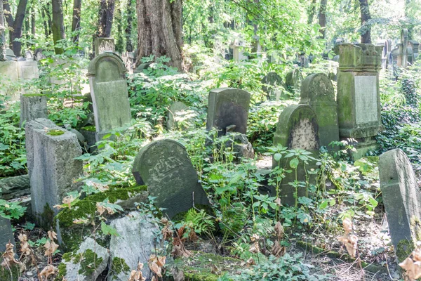 Pietre Tombali Sul Nuovo Cimitero Ebraico Cracovia Polonia — Foto Stock