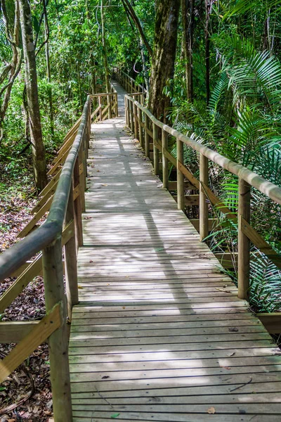 Boardwalk National Park Manuel Antonio Costa Rica Royalty Free Stock Photos