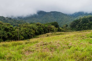 Boquete, Panama çayıra.