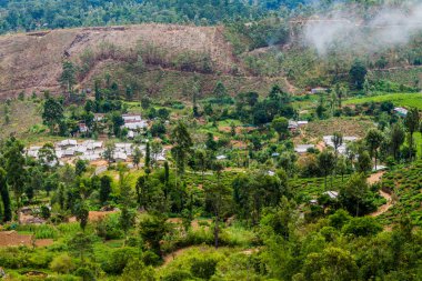 Küçük yerleşim yakınındaki Haputale, Sri Lanka