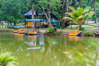 Boats on a pond in Viharamahadevi park in Colombo, Sri Lanka clipart