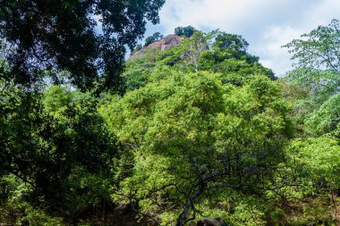 Görünüm Sigiriya aslan Rock, Sri Lanka