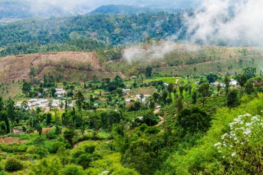 Küçük yerleşim yakınındaki Haputale, Sri Lanka