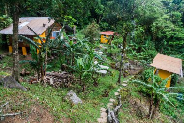 Valle Hornito, Panama - 23 Mayıs 2016: Kaybolan ve bulunan orman Hostel Panama görünümünü