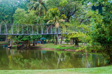 Bridge over a pond in Viharamahadevi park in Colombo, Sri Lanka clipart