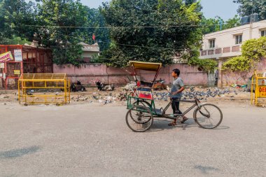 Delhi, Hindistan - 23 Ekim 2016: Cyclo çekçek ve inek Delhi, Hindistan merkezinde.