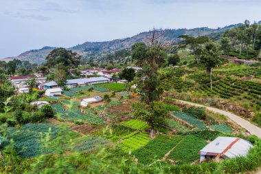 Haputale, Sri Lanka yakınındaki dağlarda küçük köy