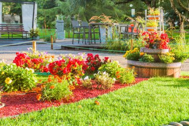 Çiçeklere Tornide valjak (kule Meydanı) Tallinn, Estonya