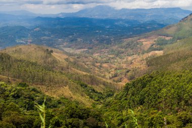 Manzara Horton Plains Milli Parkı, Sri Lanka