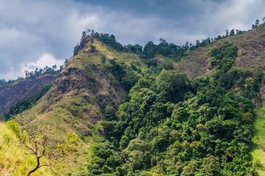 Dağlar yakınındaki Ella, Sri Lanka