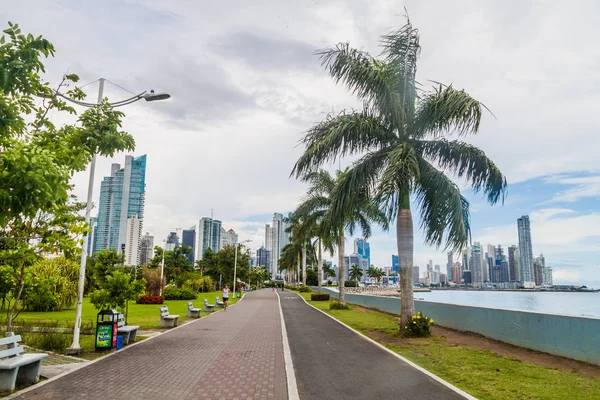 Miasto Panama Panama Maja 2016 Widok Żebrowe Park Pobliżu Cinta — Zdjęcie stockowe