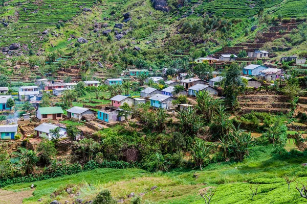 Teplantager Och Liten Bergen Nära Haputale Sri Lanka — Stockfoto