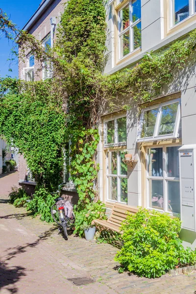 Casa Immersa Nel Verde Den Bosch Olanda — Foto Stock