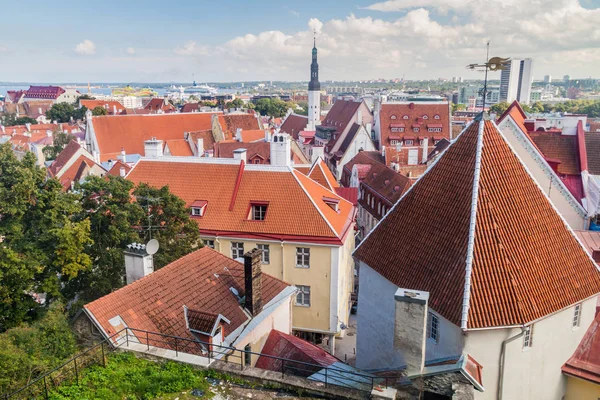 Roofs Old Town Tallinn Estonia — Stock Photo, Image