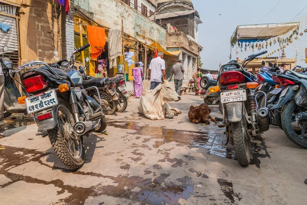 Varanasi India Octubre 2016 Vista Vacas Motos Una Calle Varanasi — Foto de Stock