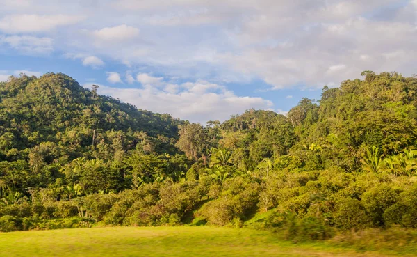 Hills Forests Hummingbird Highway Belize — Stock Photo, Image