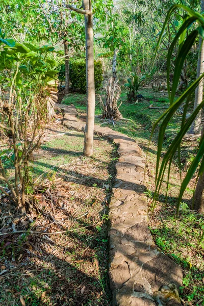 Weg Einem Garten Auf Ometepe Insel Nicaragua — Stockfoto