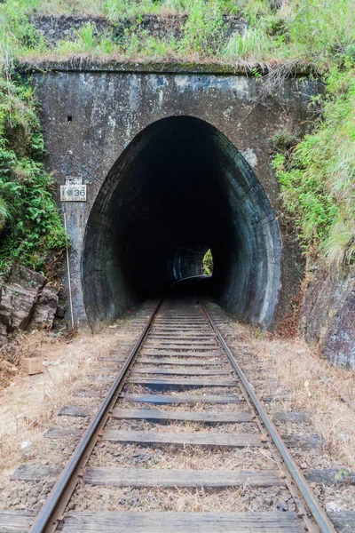 Železniční Tunel Poblíž Idalgashinna Srí Lanka — Stock fotografie