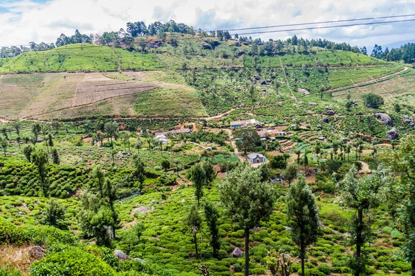 Kleine Siedlung Der Nähe Des Dorfes Idalgashinna Sri Lanka — Stockfoto