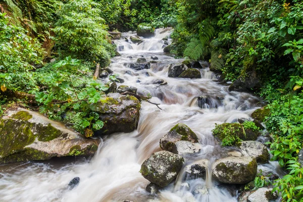 Milli Parkı Volcan Baru Rio Caldera Nehirde Yağmurlu Mevsiminde Panama — Stok fotoğraf